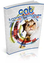 Cat Training Techniques