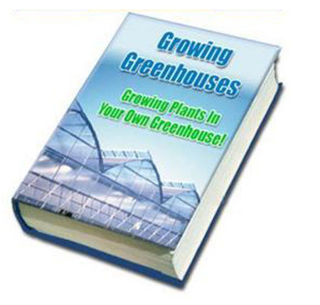 Grow plants in a greenhouse