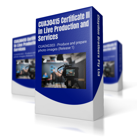 CUADIG303 - Learning Guide and Assessment -