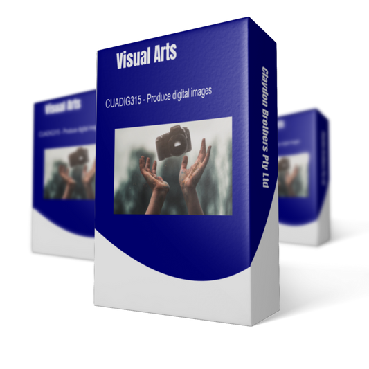 CUADIG315 Produce Digital Images
