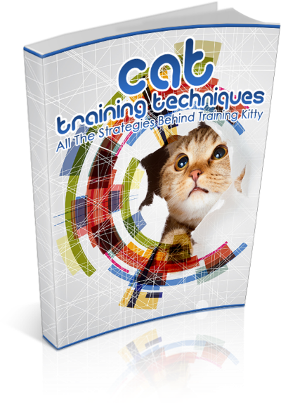 Cat Training Techniques