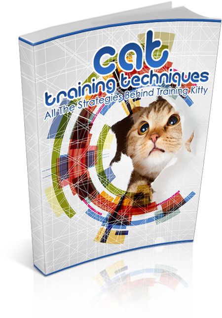 Cat Training Techniques
